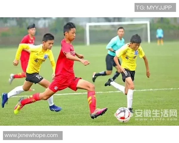 谁是最拼的足球明星他们的努力与坚持成就了辉煌的职业生涯