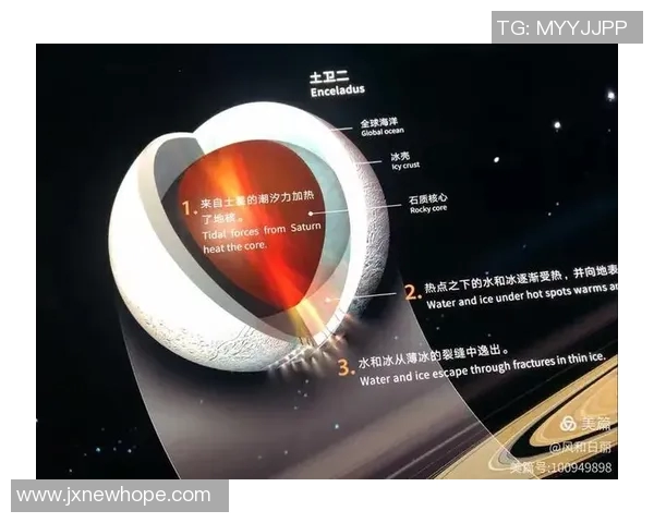 探索全球足球明星的璀璨星空与他们的传奇故事