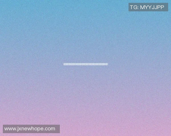 篮球明星大赛精彩回顾与未来展望聚焦明星球员的巅峰对决与球迷热情